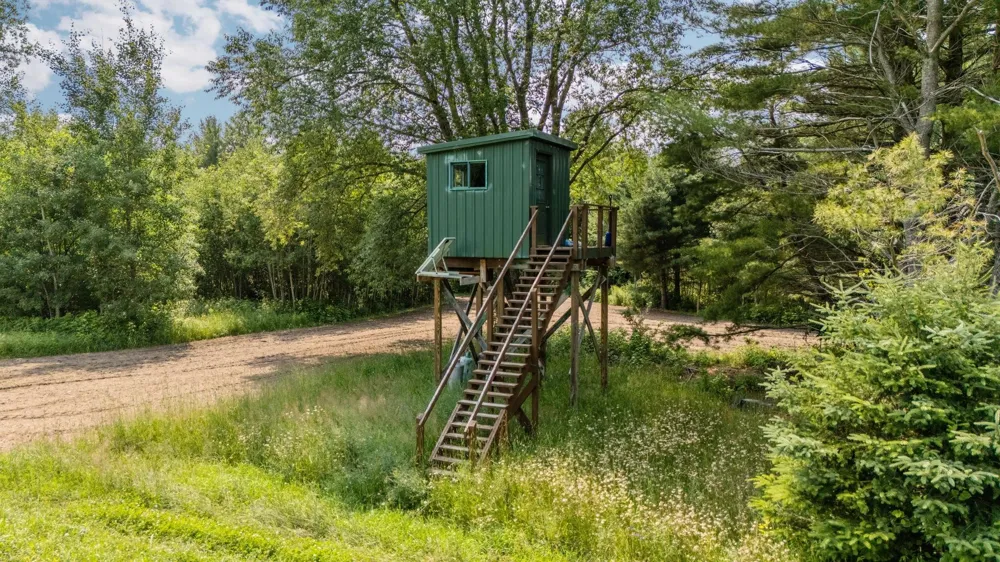 7741 S M-88 Custer Township, MI 49659