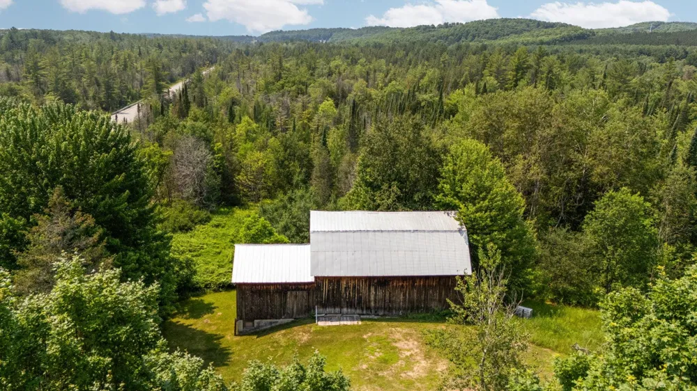 7741 S M-88 Custer Township, MI 49659