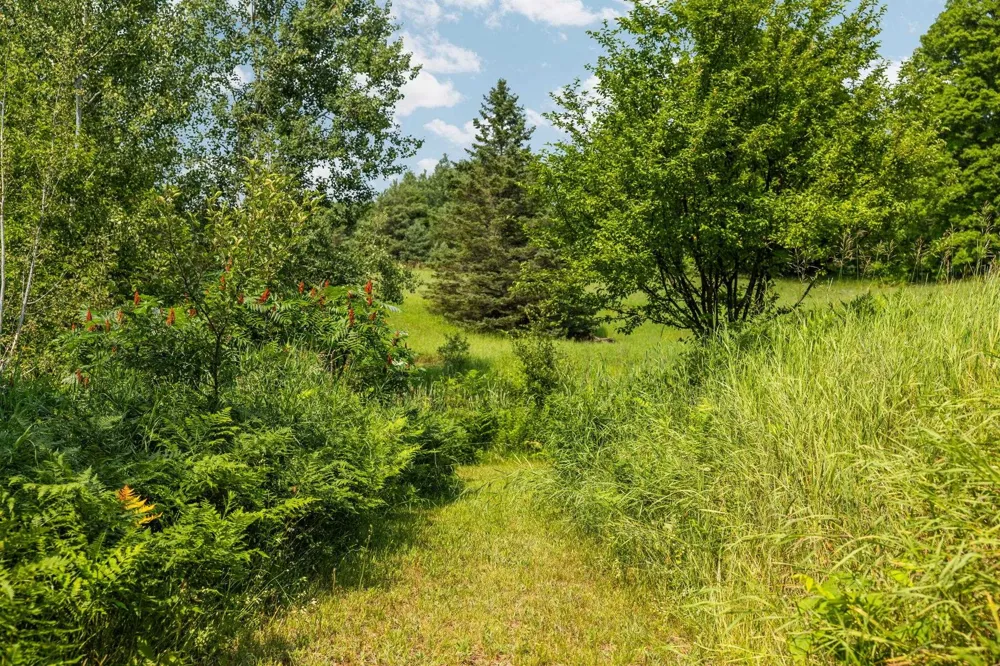 7741 S M-88 Custer Township, MI 49659