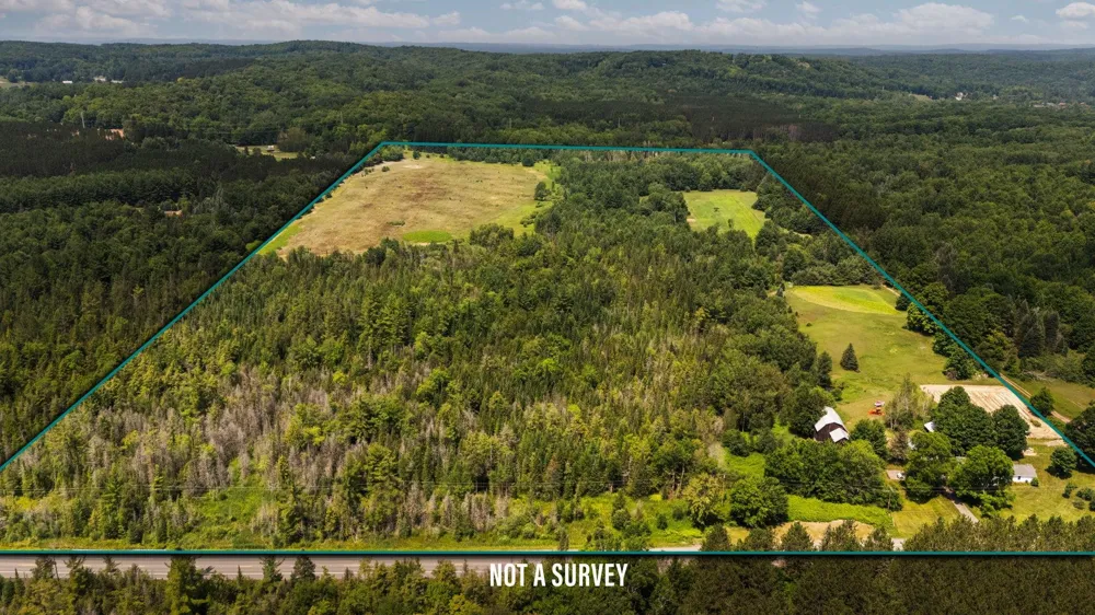 7741 S M-88 Custer Township, MI 49659