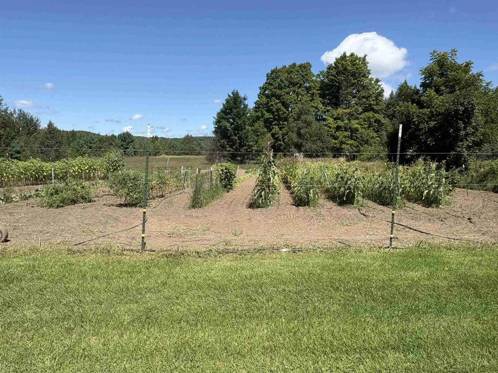 7741 S M-88 Custer Township, MI 49659