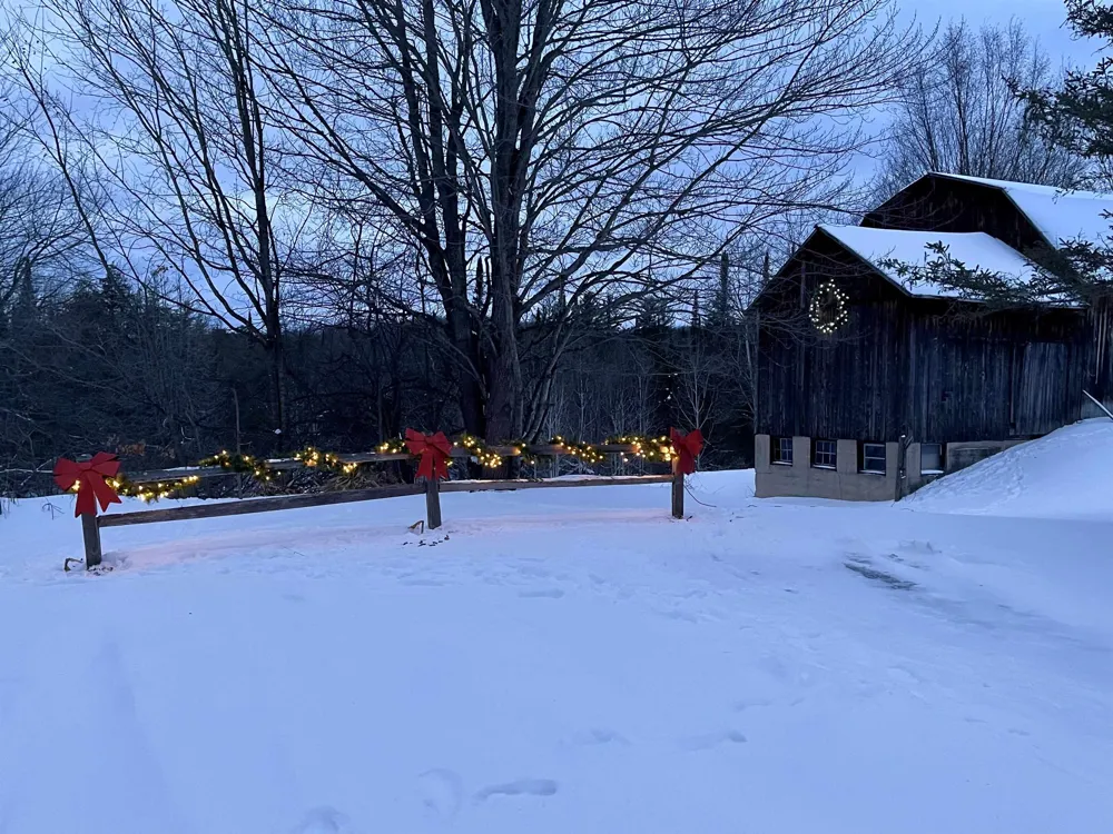 7741 S M-88 Custer Township, MI 49659
