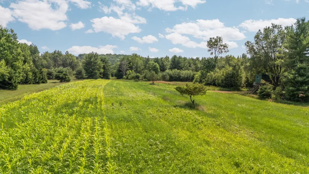 7741 S M-88 Custer Township, MI 49659