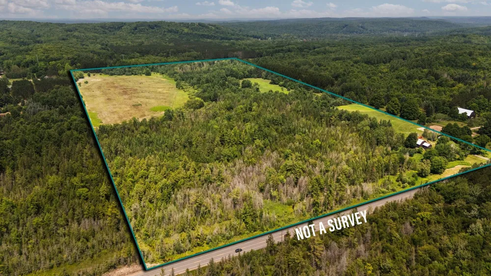 7741 S M-88 Custer Township, MI 49659