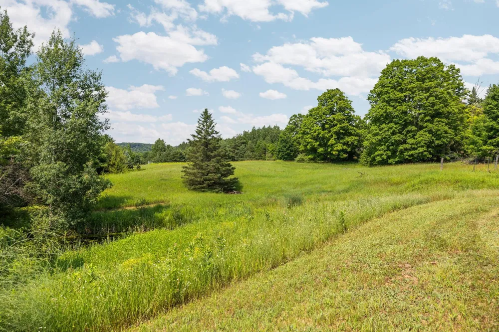 7741 S M-88 Custer Township, MI 49659