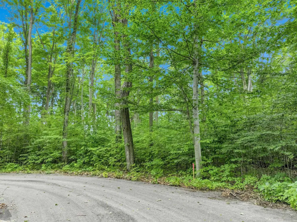 5400 Wild Berry Trail Garfield Charter Township, MI 49685