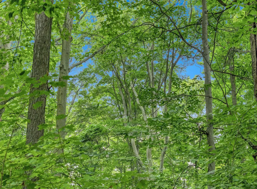 5400 Wild Berry Trail Garfield Charter Township, MI 49685