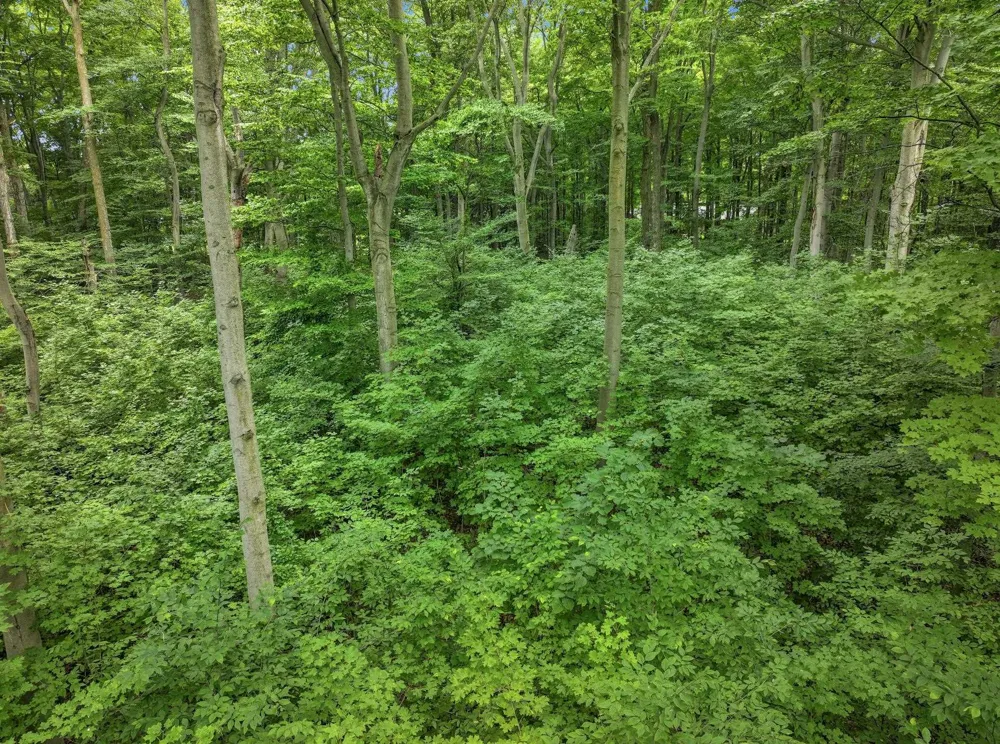 5400 Wild Berry Trail Garfield Charter Township, MI 49685