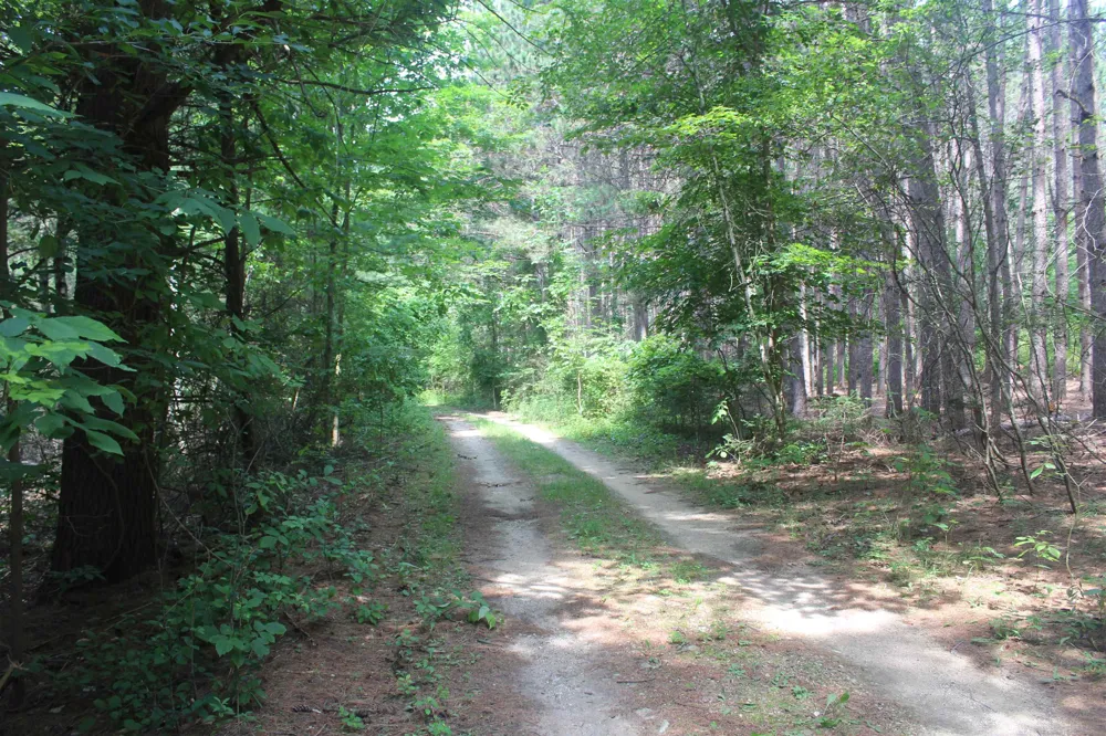 Whitefish Trail Torch Lake Township, MI 49648