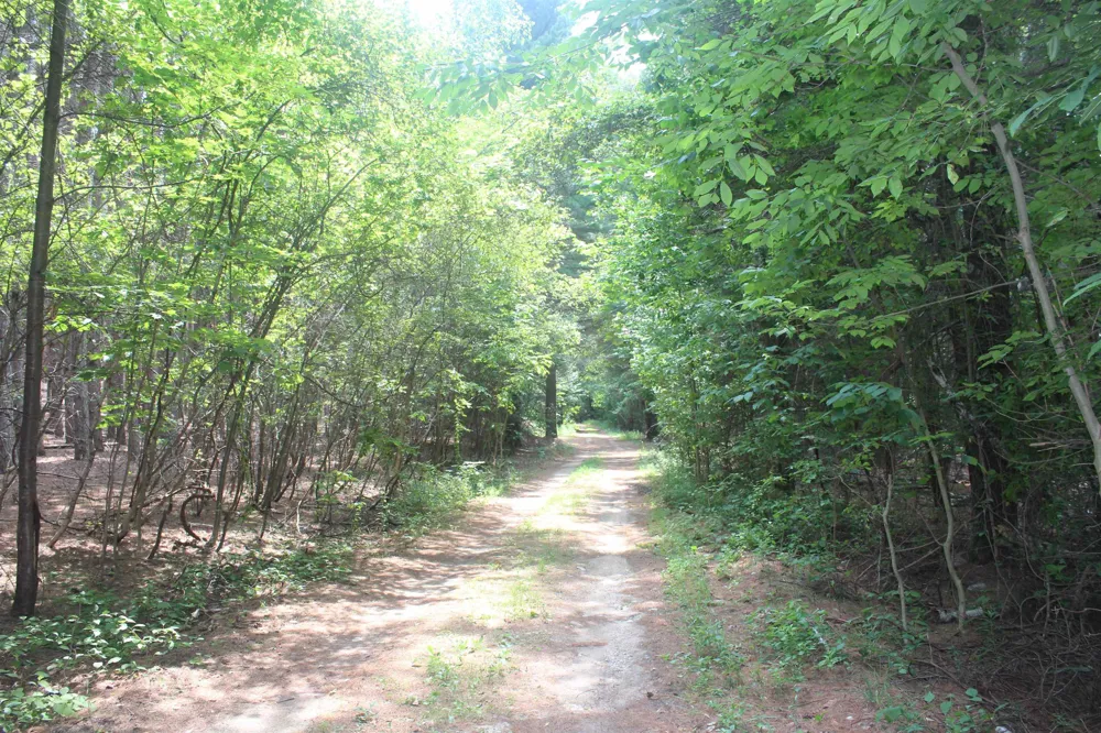 Whitefish Trail Torch Lake Township, MI 49648