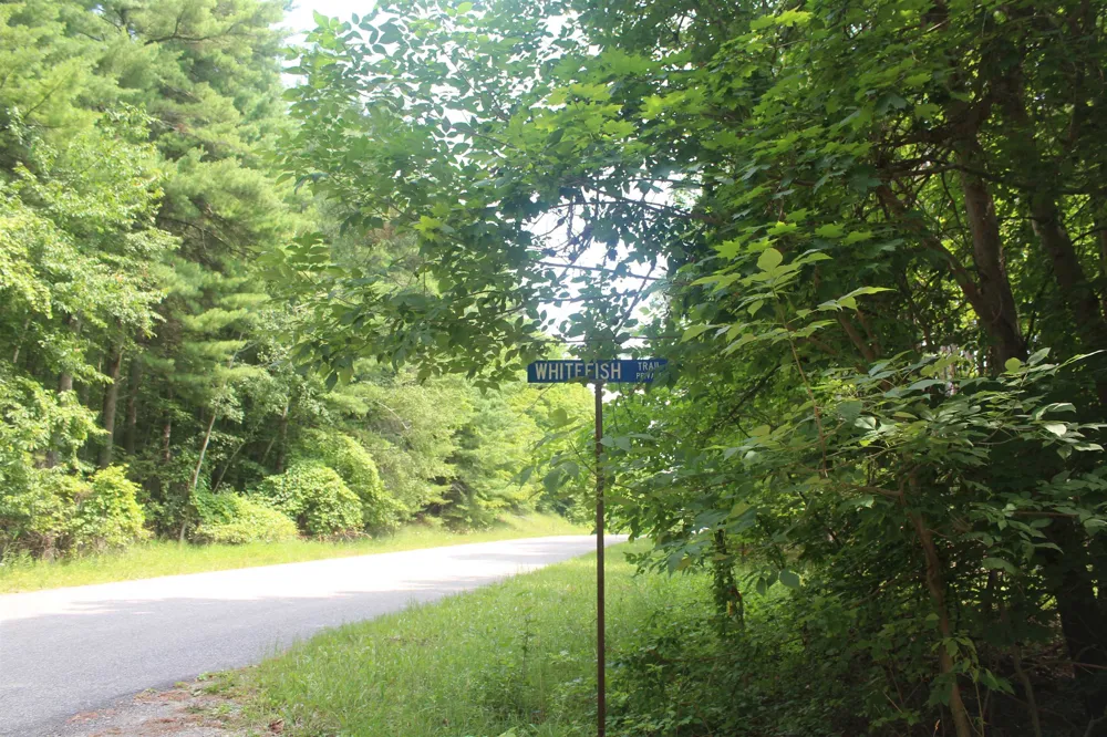 Whitefish Trail Torch Lake Township, MI 49648