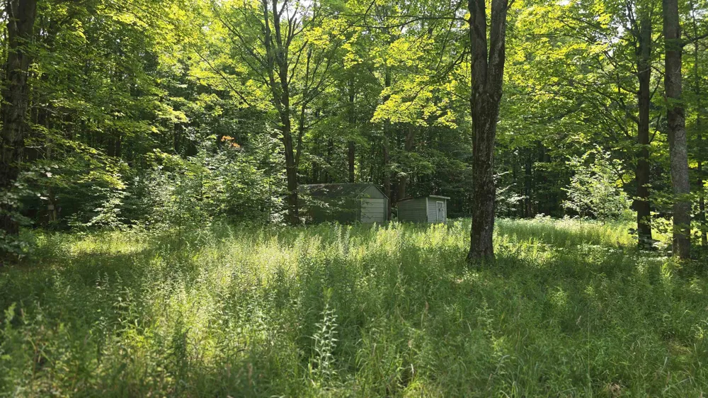 8494 Starvation Lake Road Mancelona Township, MI 49659