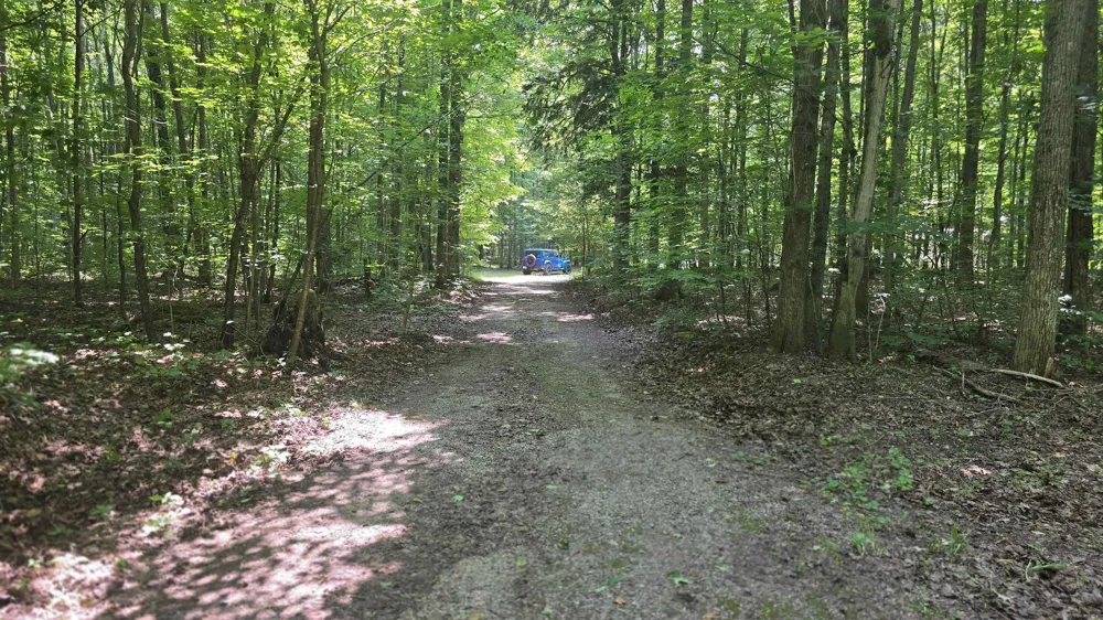 8494 Starvation Lake Road Mancelona Township, MI 49659