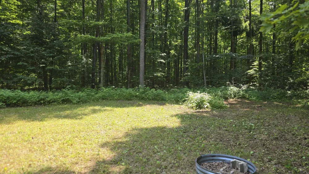 8494 Starvation Lake Road Mancelona Township, MI 49659