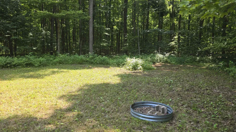 8494 Starvation Lake Road Mancelona Township, MI 49659