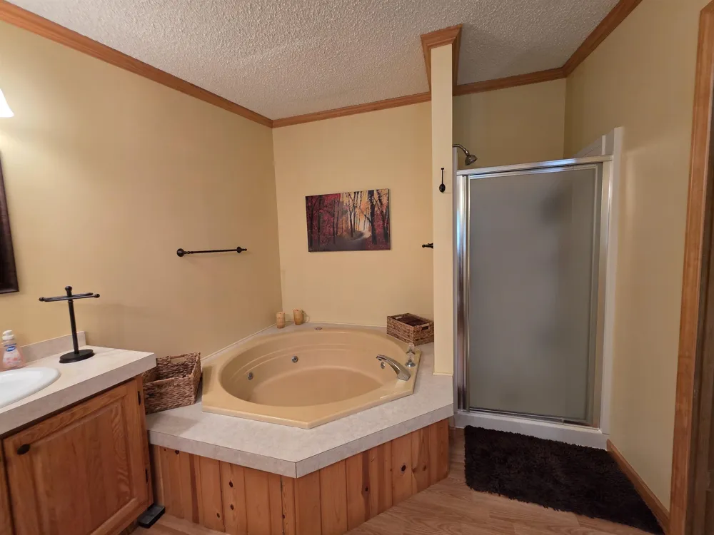 8494 Starvation Lake Road Mancelona Township, MI 49659