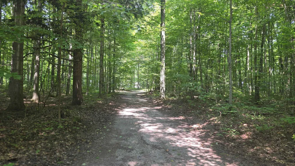 8494 Starvation Lake Road Mancelona Township, MI 49659