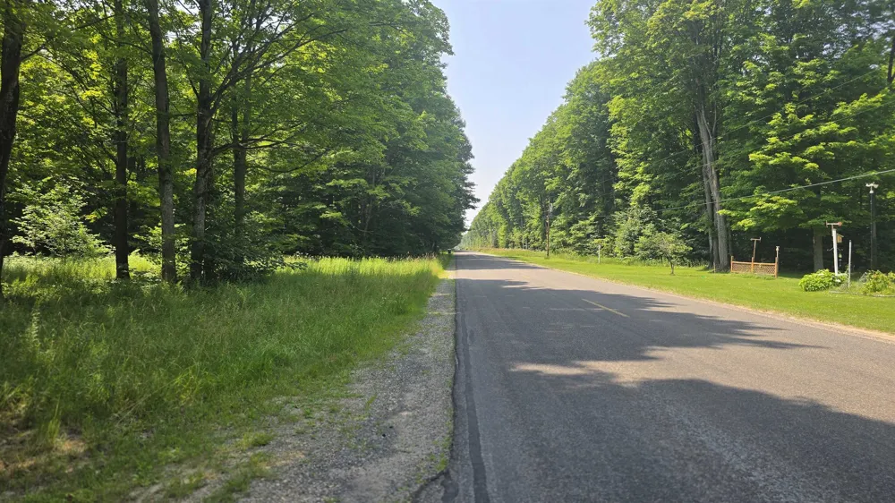 8494 Starvation Lake Road Mancelona Township, MI 49659
