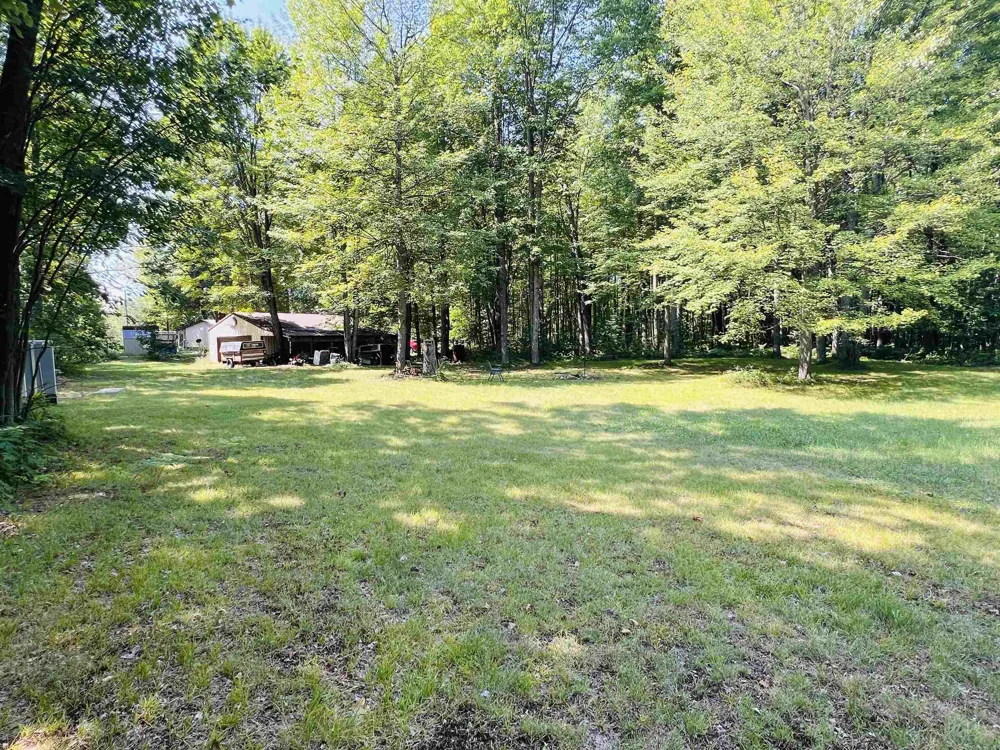 9401 House Trail Winterfield Township, MI 49665