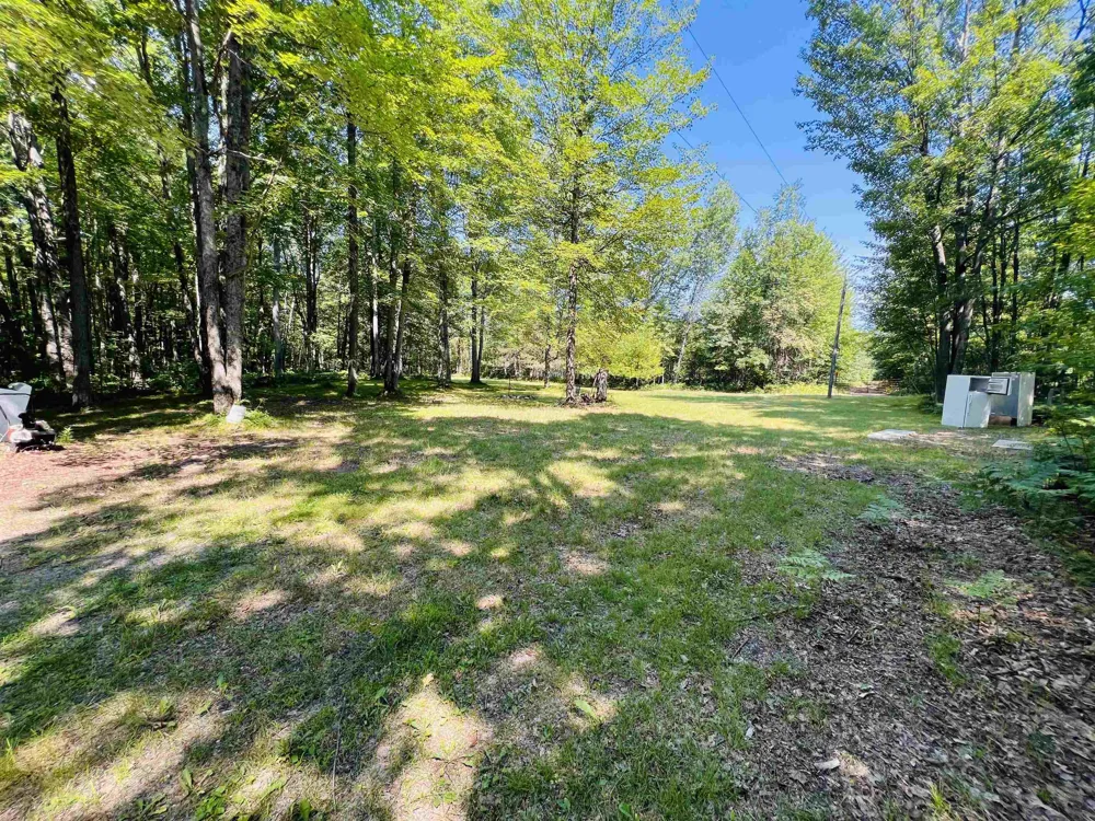 9401 House Trail Winterfield Township, MI 49665