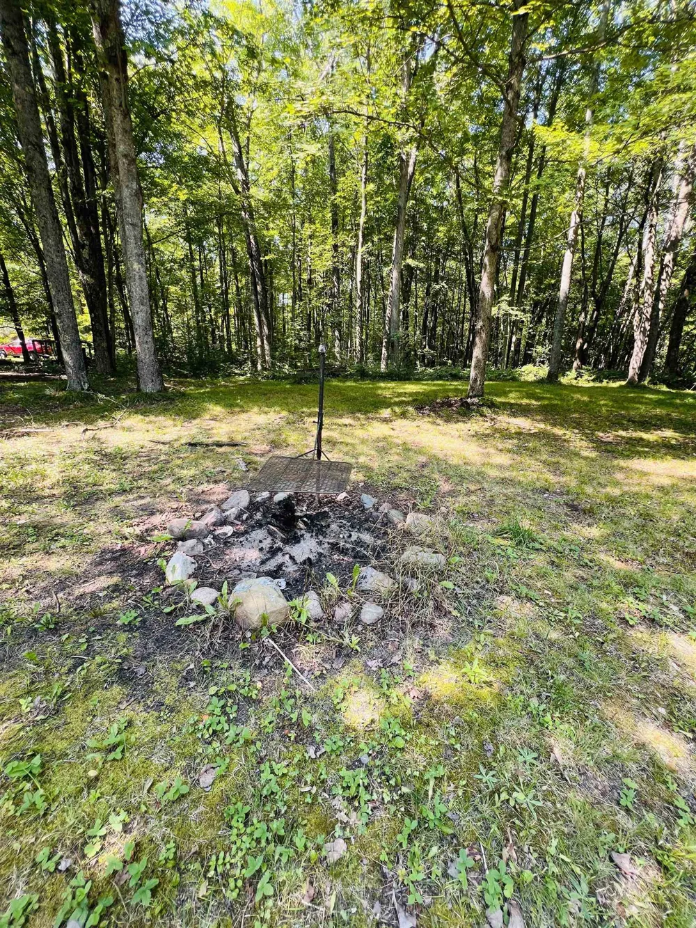 9401 House Trail Winterfield Township, MI 49665