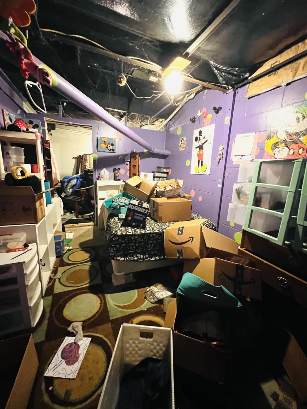 9401 House Trail Winterfield Township, MI 49665