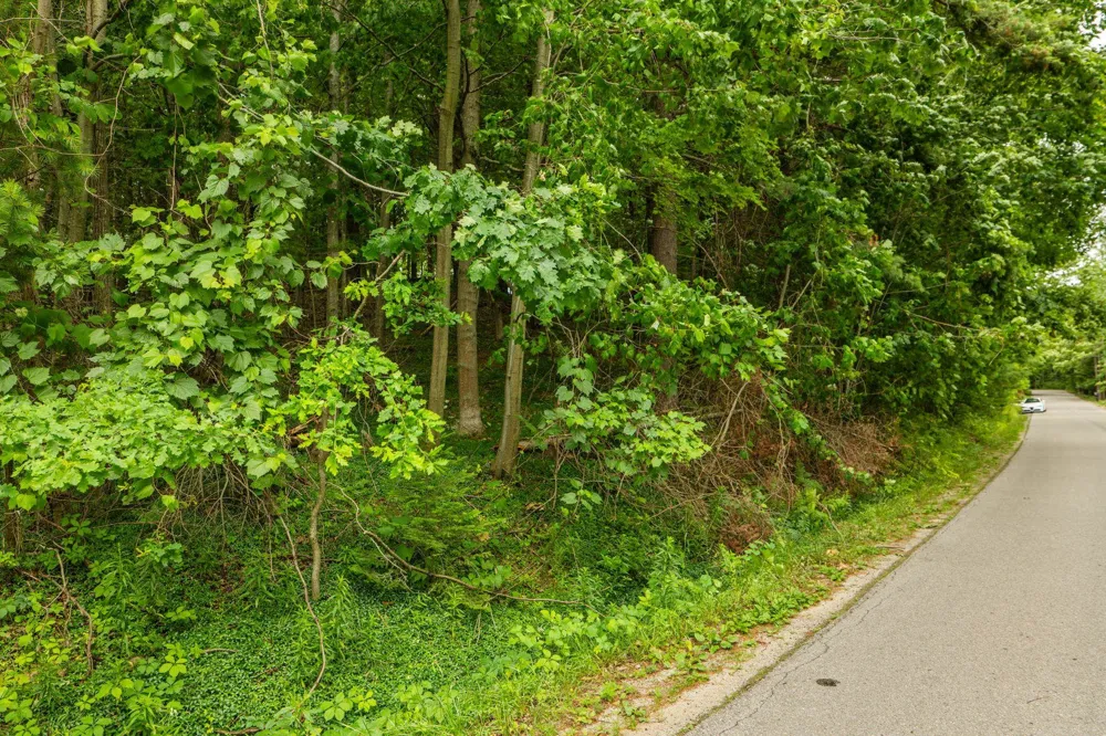 S West Street Leelanau Township, MI 49670