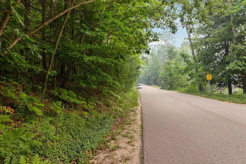 S West Street Leelanau Township, MI 49670
