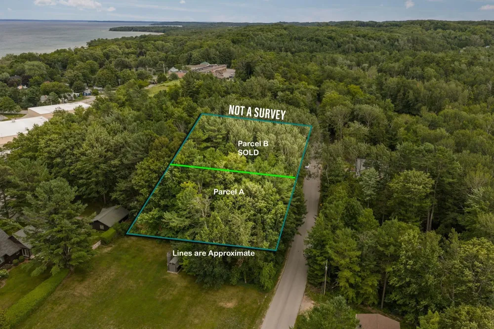 S West Street Leelanau Township, MI 49670
