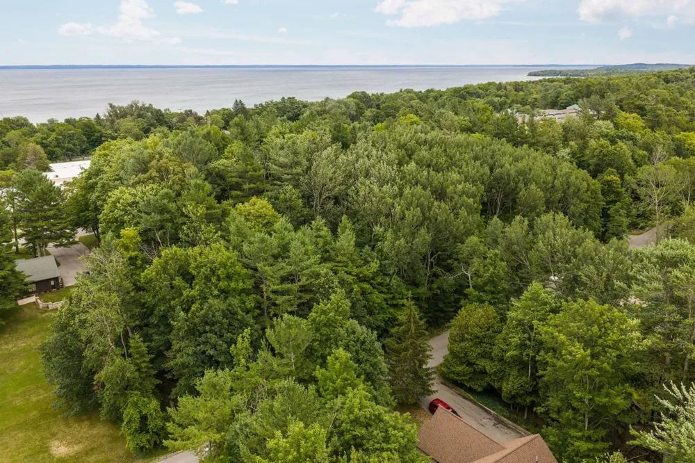 S West Street Leelanau Township, MI 49670