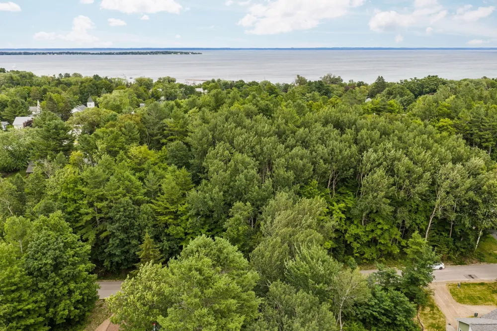S West Street Leelanau Township, MI 49670