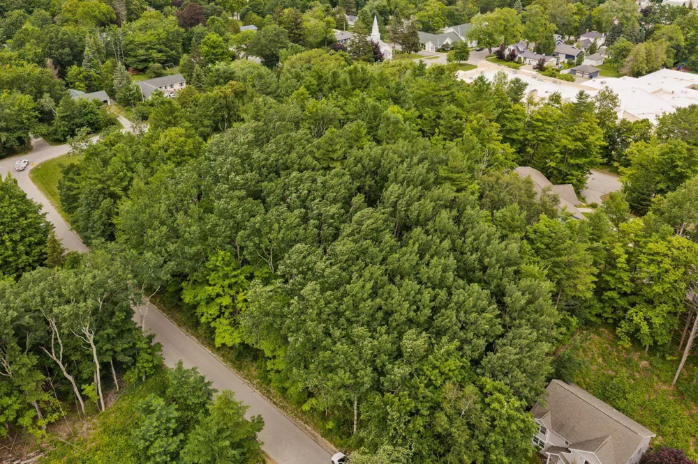 S West Street Leelanau Township, MI 49670