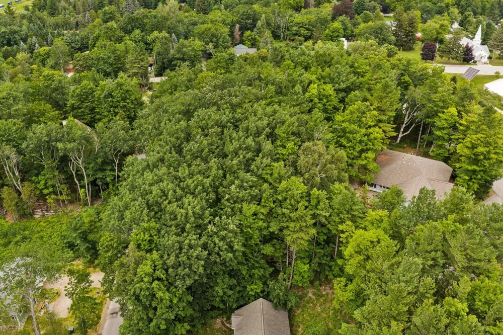 S West Street Leelanau Township, MI 49670
