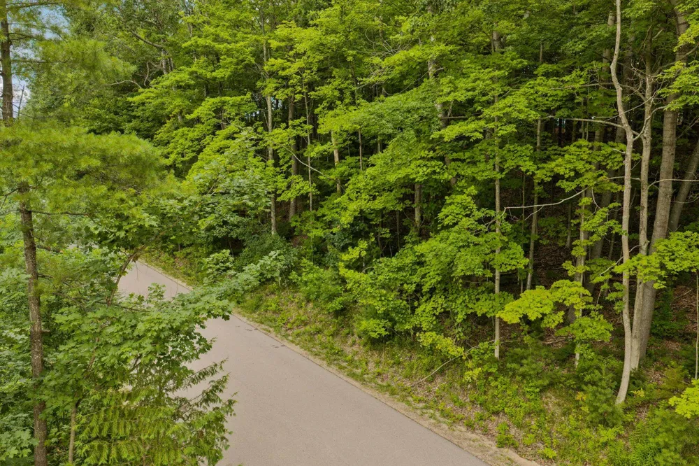 S West Street Leelanau Township, MI 49670