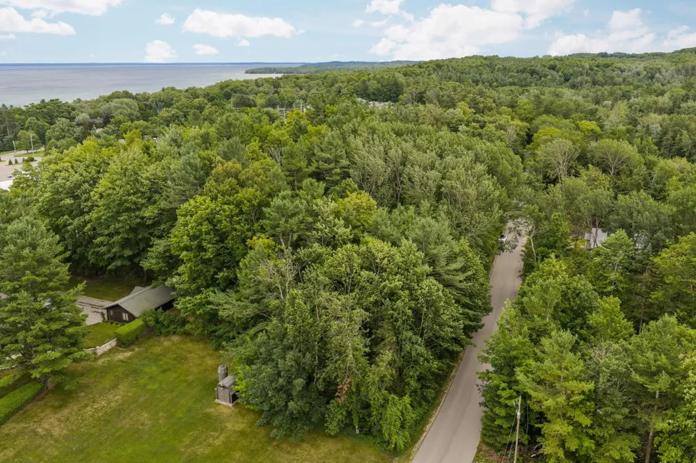 S West Street Leelanau Township, MI 49670