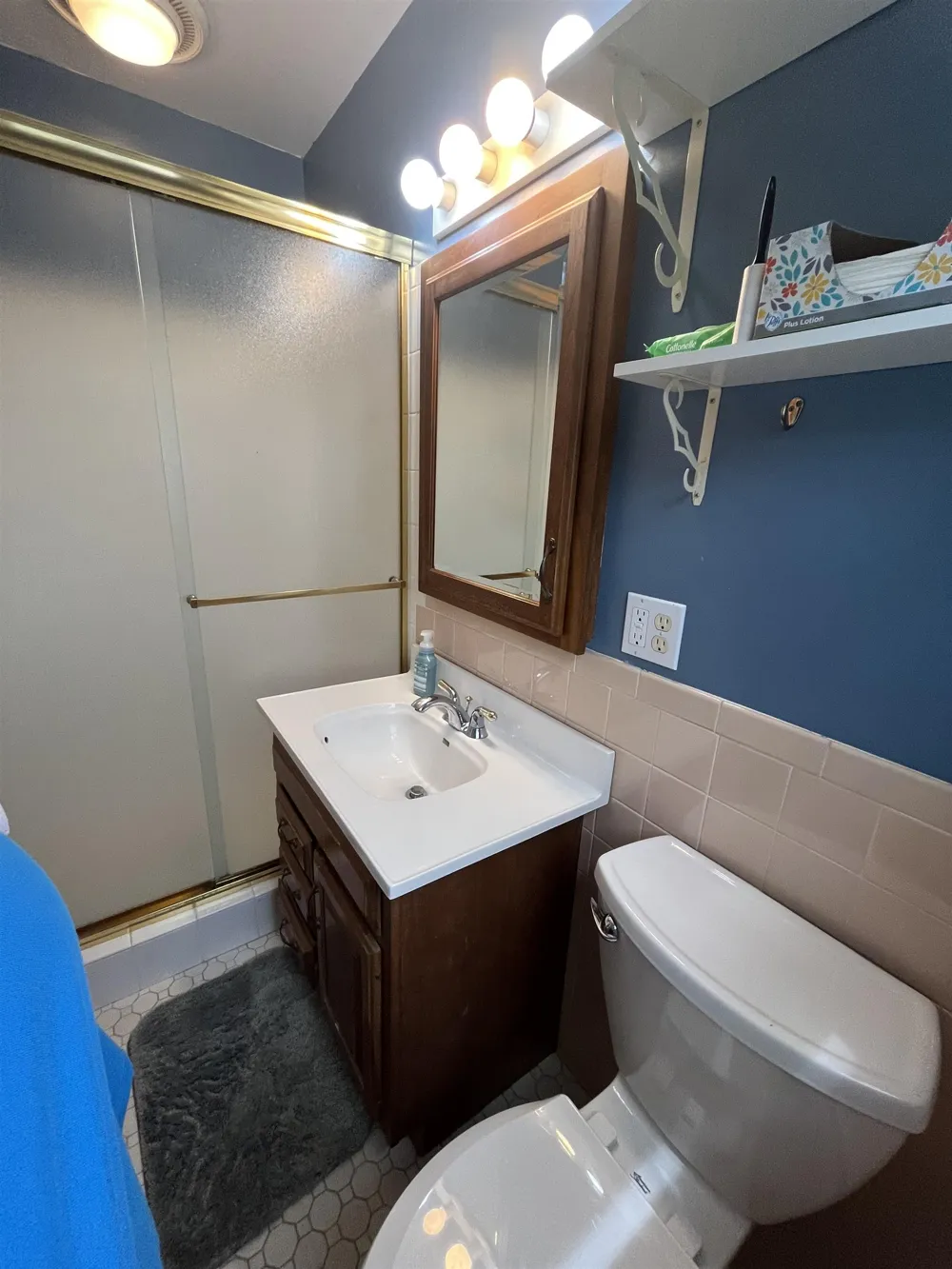 1339 Tomah Drive Mt Pleasant City, MI 48858