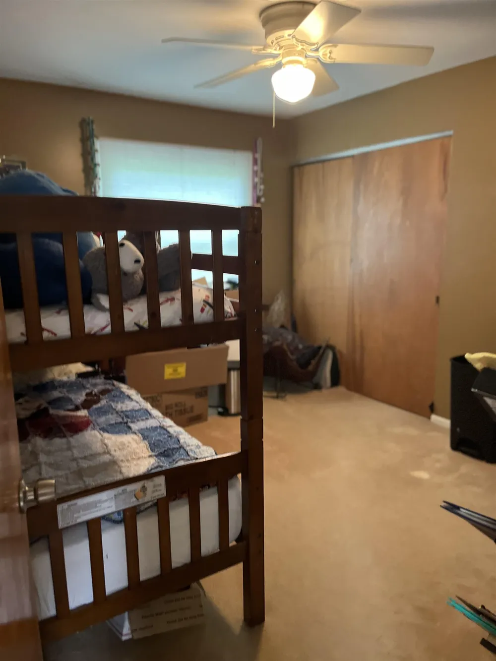 1339 Tomah Drive Mt Pleasant City, MI 48858