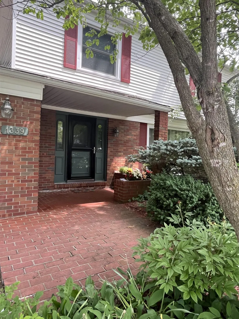 1339 Tomah Drive Mt Pleasant City, MI 48858