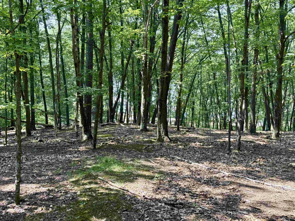 W Big Sky Trail Glen Arbor Township, MI 49664