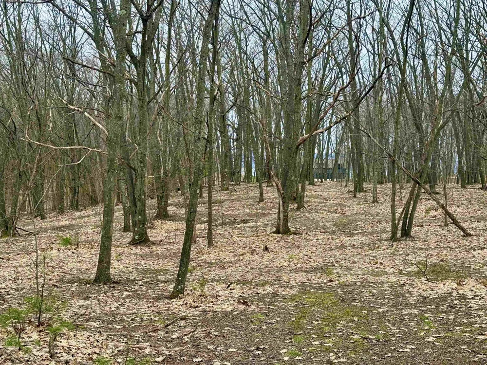 W Big Sky Trail Glen Arbor Township, MI 49664