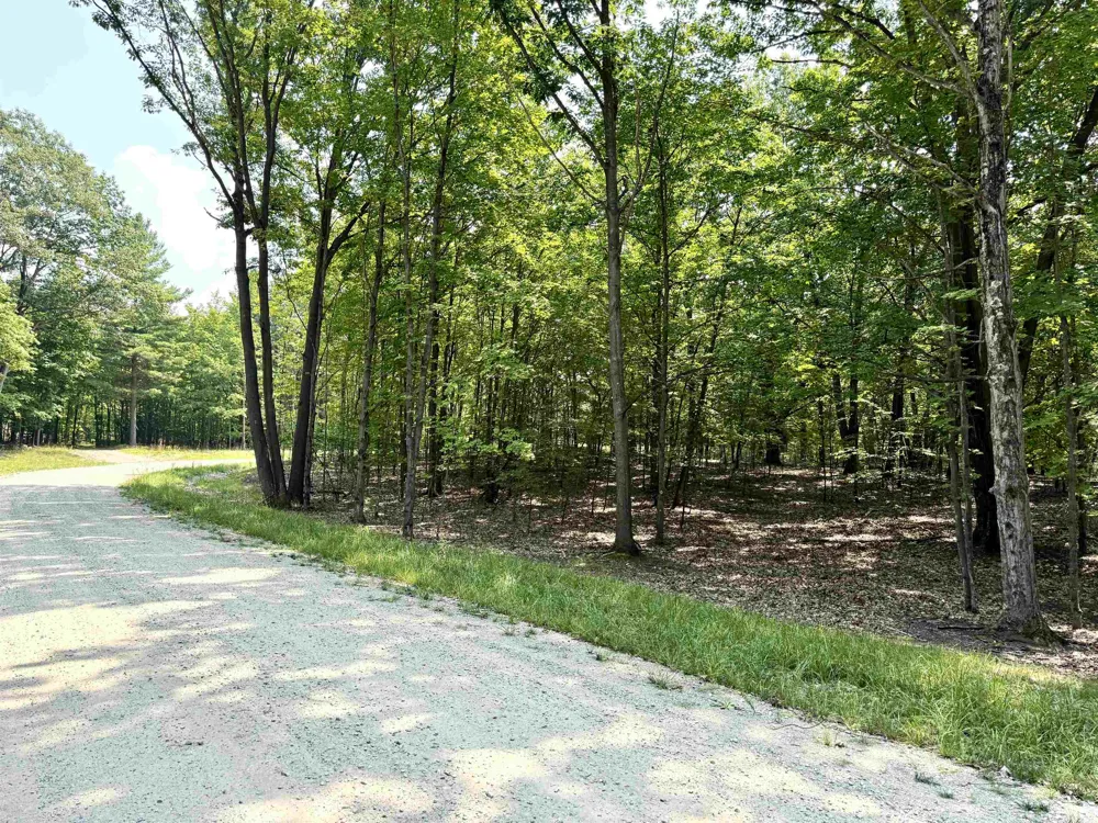 W Big Sky Trail Glen Arbor Township, MI 49664