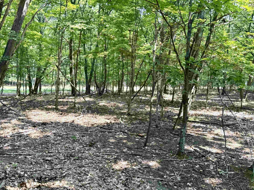 W Big Sky Trail Glen Arbor Township, MI 49664