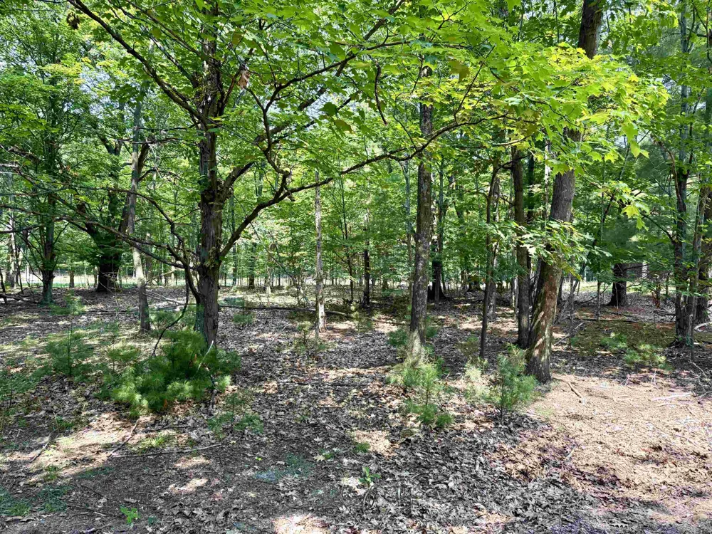 W Big Sky Trail Glen Arbor Township, MI 49664