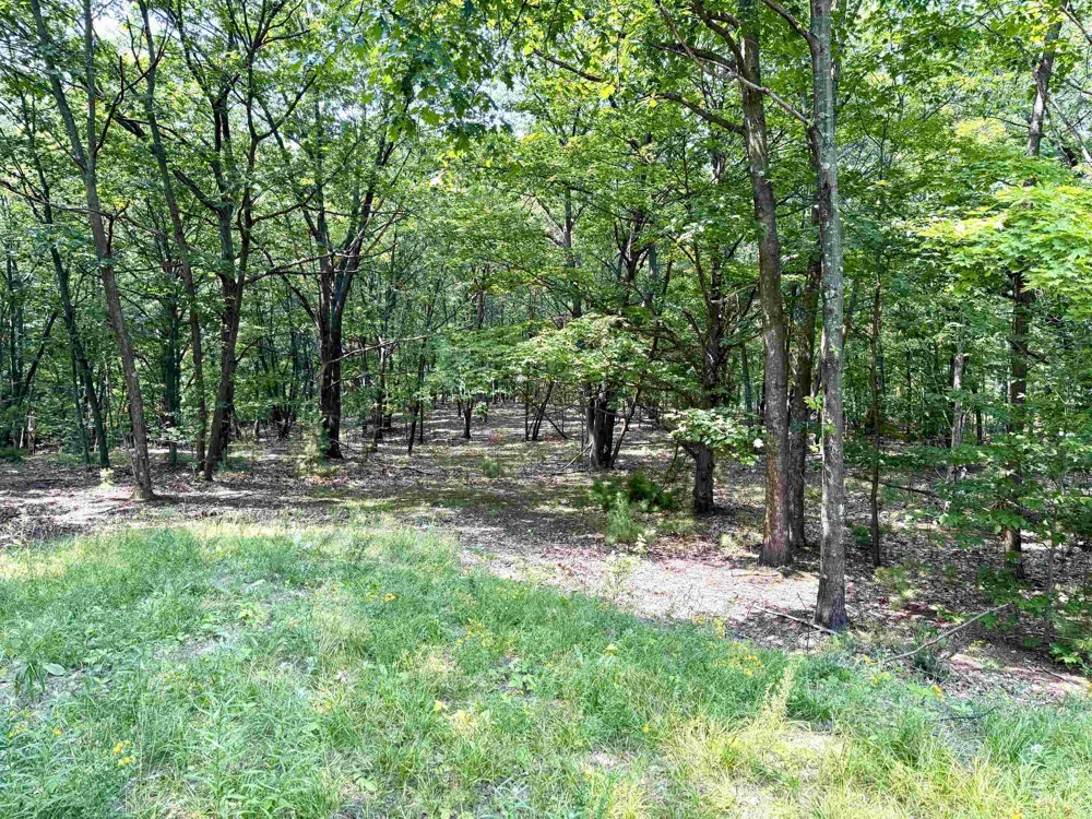 W Big Sky Trail Glen Arbor Township, MI 49664
