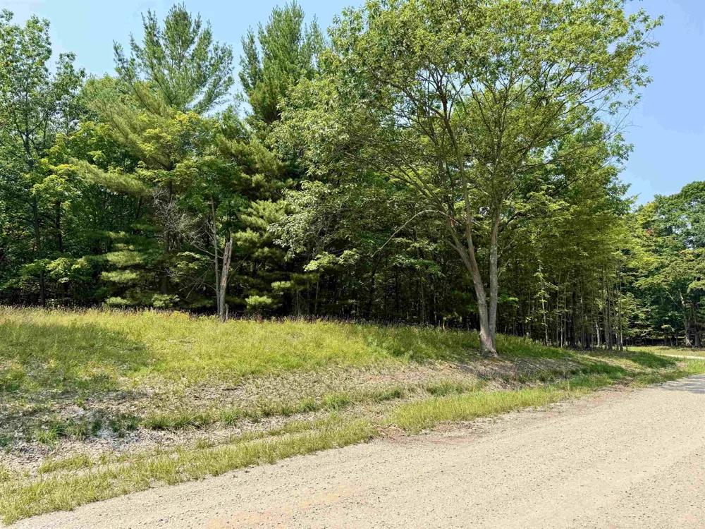W Big Sky Trail Glen Arbor Township, MI 49664