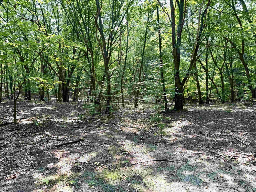 W Big Sky Trail Glen Arbor Township, MI 49664