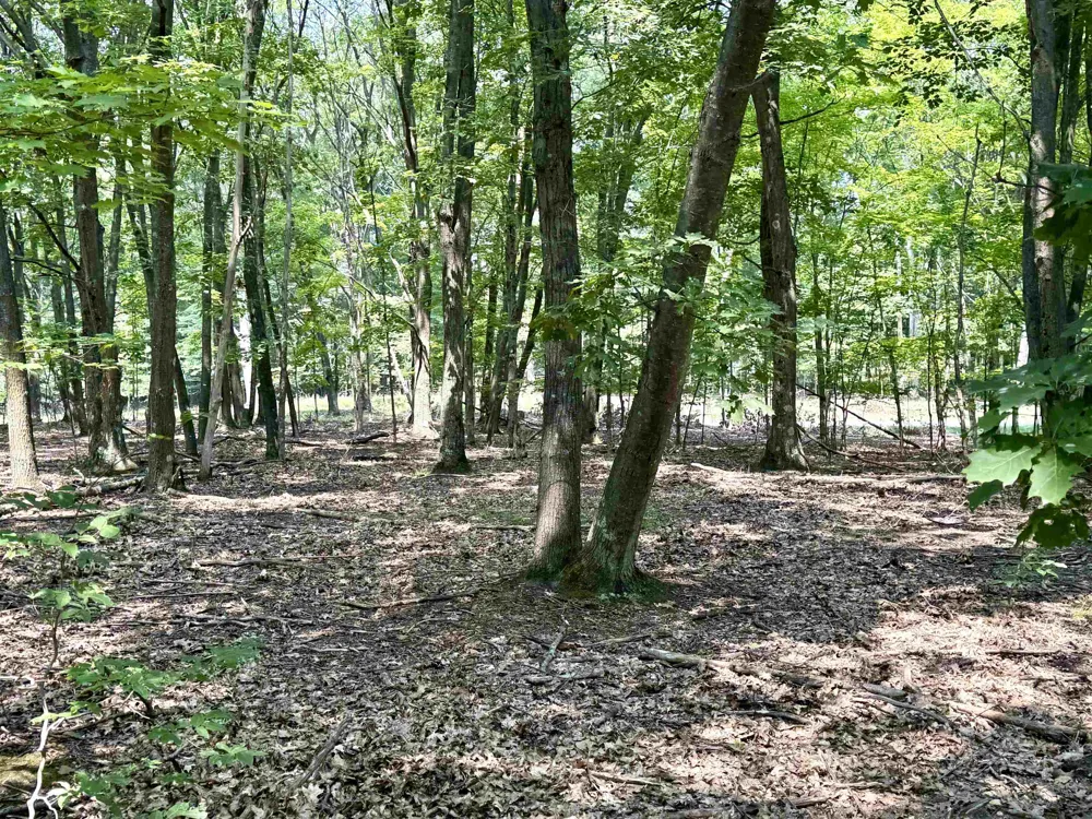 W Big Sky Trail Glen Arbor Township, MI 49664
