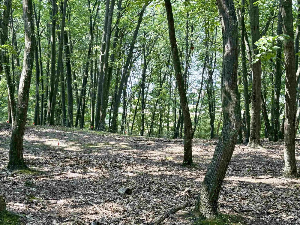 W Big Sky Trail Glen Arbor Township, MI 49664