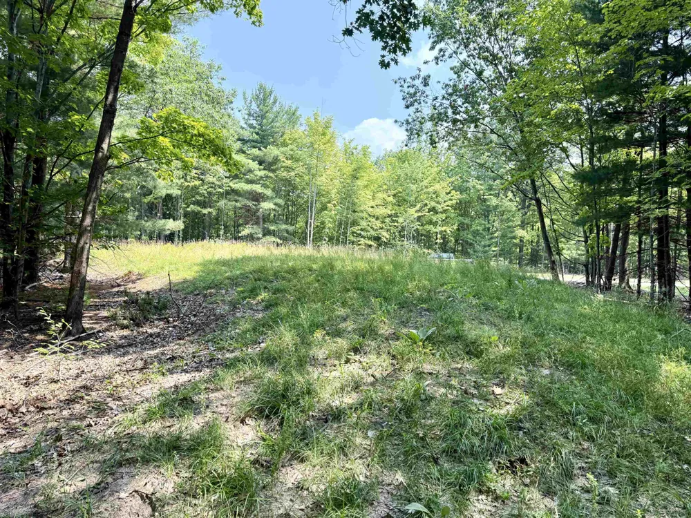W Big Sky Trail Glen Arbor Township, MI 49664