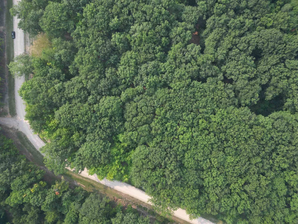 W Big Sky Trail Glen Arbor Township, MI 49664